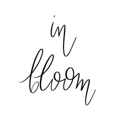 In bloom. Vector hand drawn lettering  isolated. Template for card, poster, banner, print for t-shirt, pin, badge, patch.