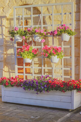flowers in pots on a balcony