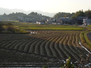 日本の秋のありふれた農村風景　その２