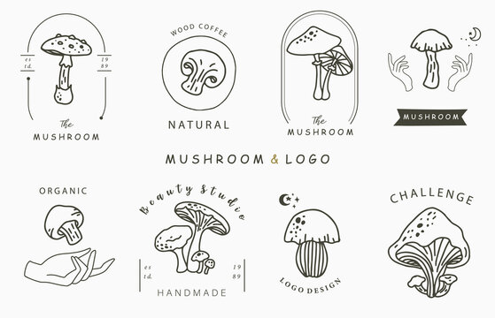 mushroon collection logo with shimeji,shiitake.Vector illustration for icon,logo,sticker,printable and tattoo