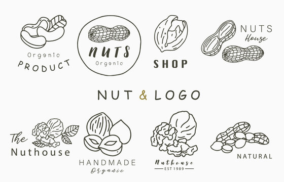 nuts collection logo with hazelnut,walnut,peanut.Vector illustration for icon,logo,sticker,printable and tattoo