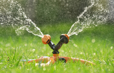 Sprinkler spraying water over green grass 