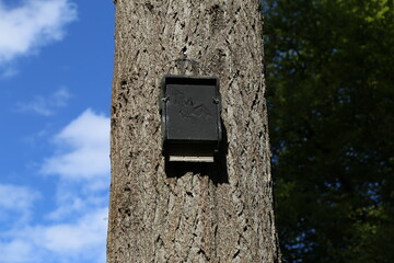 A black bat box attached to a tree trunk in Cadair Idris National Nature Reserve, Snowdonia at Minffordd,  Gwynedd, Wales, UK.