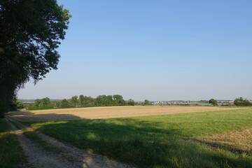 Schöne Landschaft mit Sonne