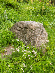 Landscaping element, part of rockery - large boulders in the grass from alpine meadows