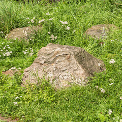 Obraz premium Element of landscape design, rockery in the yard - large natural boulders in the grass