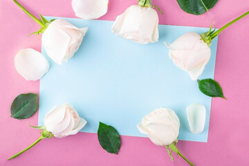 Flat lay flowers composition for your lettering. Frame made of white rose flowers on blue background. Invitation greeting card. Top view, copy space for text, mock up. Holiday concept