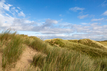 Marram Grass Covered Sand Dunes