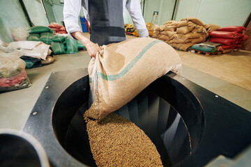 Obraz premium Cropped image of worker in apron putting sack of coffee beans in new big roaster
