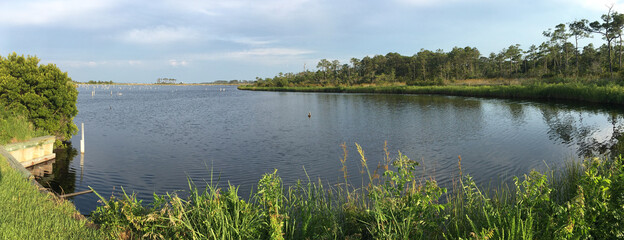 Roanoke Island Marshes Dedicated Preserve in North Carolina