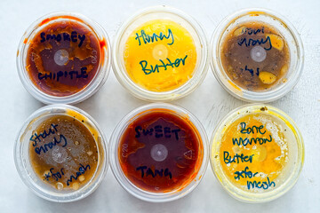 assorted bbq dipping sauces