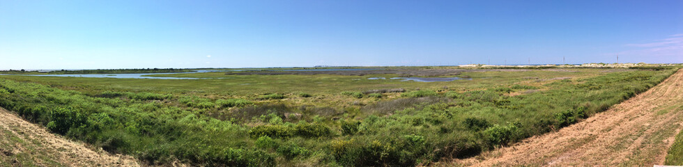 Fototapeta na wymiar Pea Island National Wildlife Refuge wetlands in the Outer Banks of North Carolina