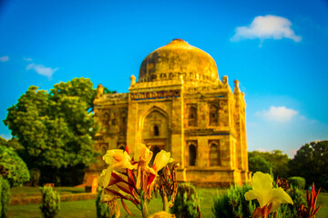 lodhi garden delhi india