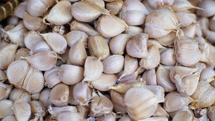 Background of garlic