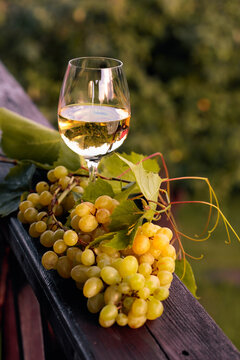Glass of white wine and grapes with leaves.