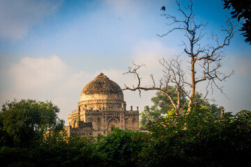 Fototapeta premium lodhi garden delhi india