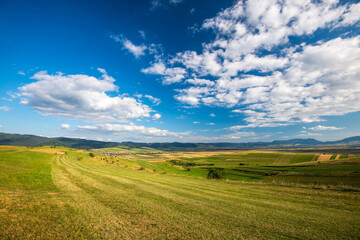 Beautiful blue sky with white clouds over green agricultural fields at summertime.