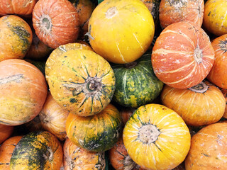 Different orange and red kinds of pumpkins stacked in a pile on a shop stand being sold as a fresh and healthy food.