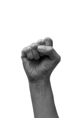 Female clenched fists raised in protest, isolated on a white background. Black and white tone. Proletarian protest symbol.