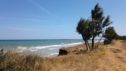 Beach in the state nature reserve of Torre Guaceto, Brindisi, Puglia, Italy