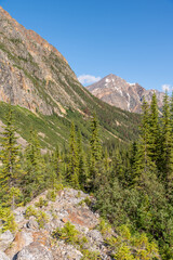 Fototapeta na wymiar Rocky mountains in Jasper National Park, Alberta. 