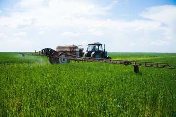 Tractor spraying wheat field with sprayer