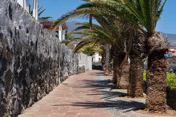 Empty pathway connecting the small town of Alcala to the harbor, beaches and hotels, protected by a stone wall on one side and lined up with large palms on the other in Tenerife, Canary Islands, Spain