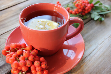 Cup of tea with lemon and red rowan berries on wooden table. Cozy autumn composition