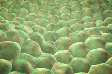 Obraz premium Layer of cells, illustration