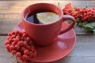 Cup of tea with lemon and red rowan berries on wooden table. Cozy autumn composition