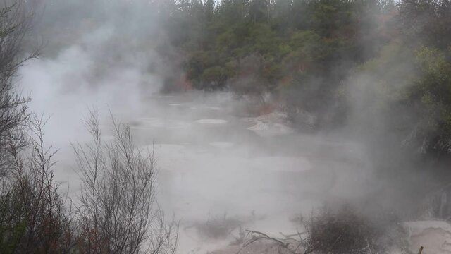 Steam Rising Off Boiling Volcanic Geo Thermal Natural Hot Pool In Rotorua New Zealand