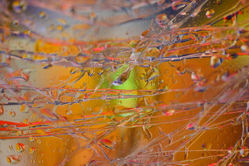 Moments under the sunlight with colors and emotion