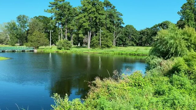Wind blows across a pond on a summer afternoon