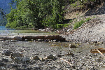 Treibholzbrücke über den Bach