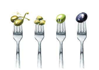 Capers, olives on a fork. Concept of diet and healthy eating. Hand drawn watercolor illustration isolated on white background