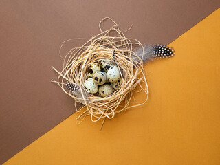 Quail eggs in a nest on a brown-yellow background with copy space.