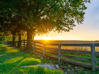 sunrise in the park