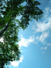 Blue sky