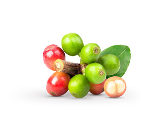 Fresh coffee beans with leaf isolated on white background.