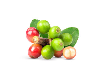 Fresh coffee beans with leaf isolated on white background.