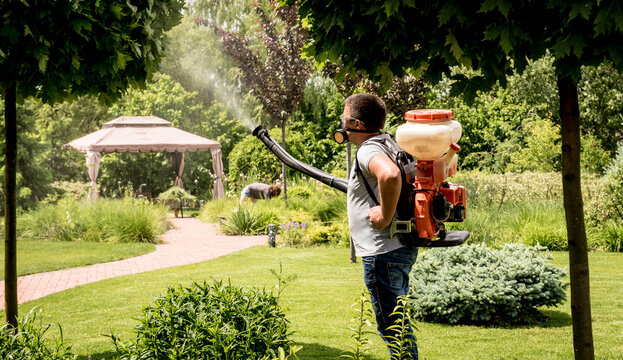 Gardener in protective mask and glasses spraying toxic pesticides trees