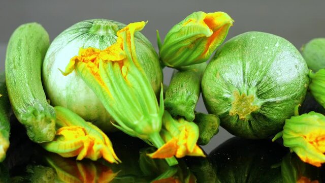 group of different type of zucchini and courgette flowers