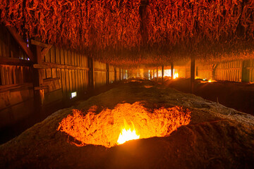 tobacco dark-fire curing process