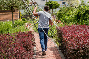 Professional gardener goes to cut trees with garden scissors and ladder