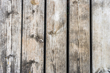 A wooden bench in front of a wood fence