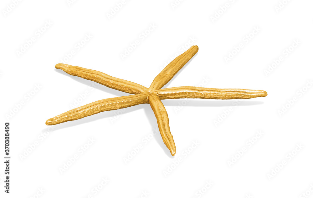Poster a collection of sculptures created in gold on a white background for your design ideas. 3d render of