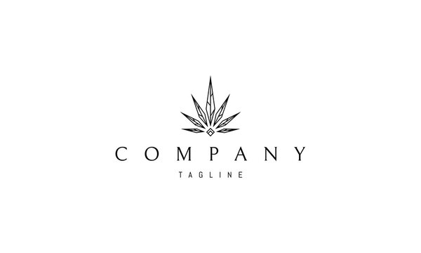 Vector logo in which an abstract image of sharp cannabis leaves with veins and a diamond at the bottom.