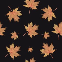 Maple leaves in Autumn season with seamless pattern