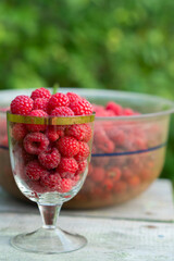 ripe raspberries in a glass on a green background on a Sunny day