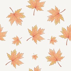 Maple leaves in Autumn season with seamless pattern and white background